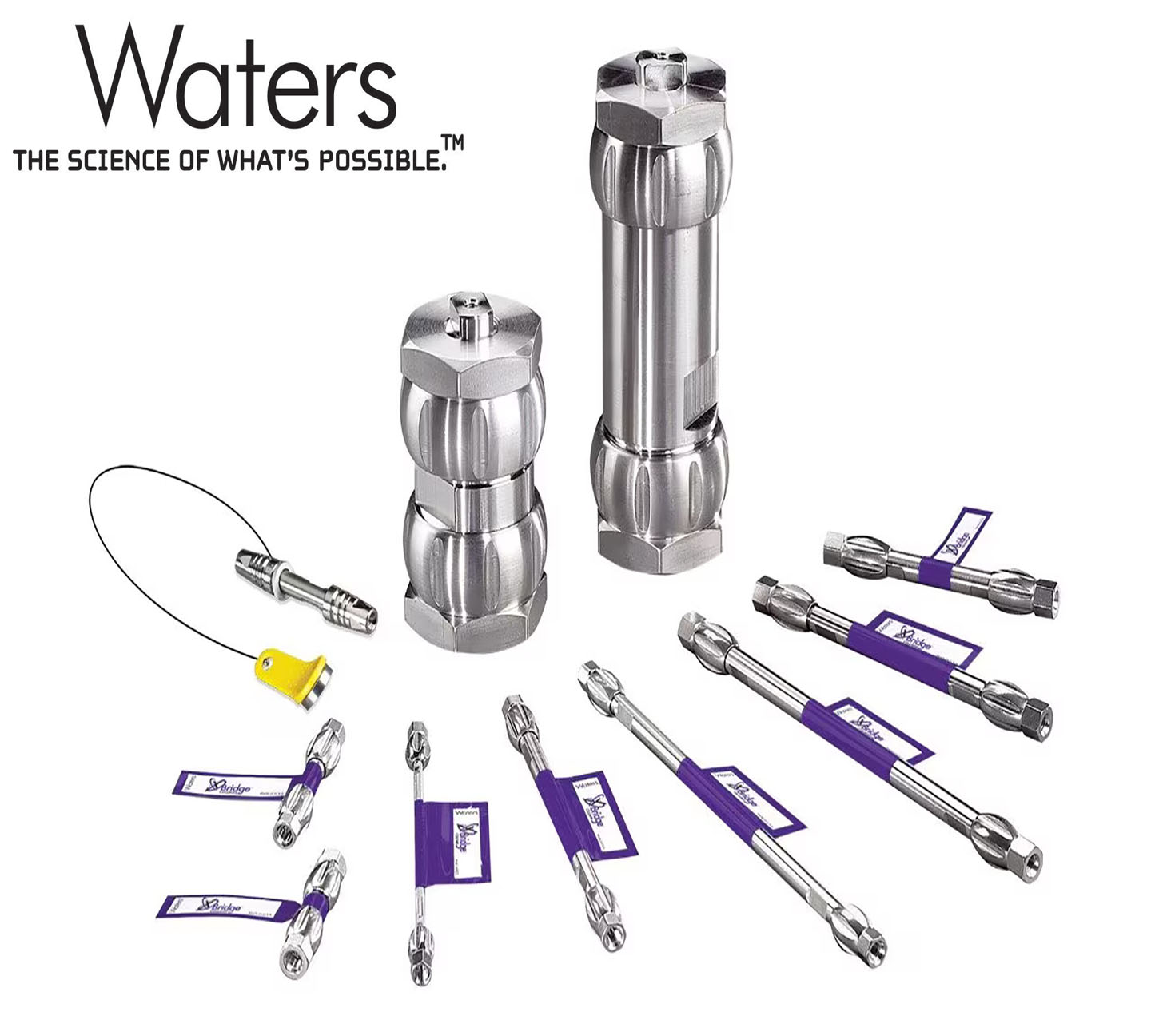 WATERS